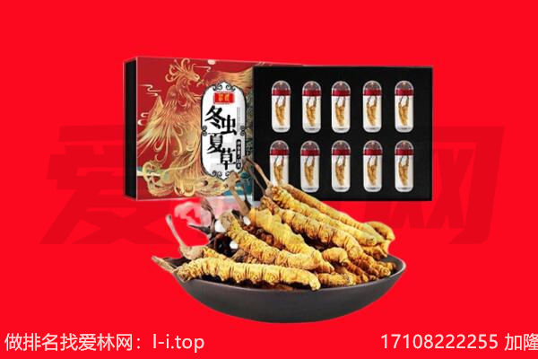 厦门回收虫草.jpg
